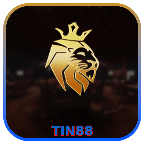 TIN88